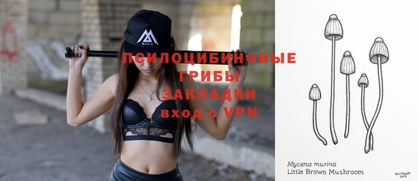 твердый Липки