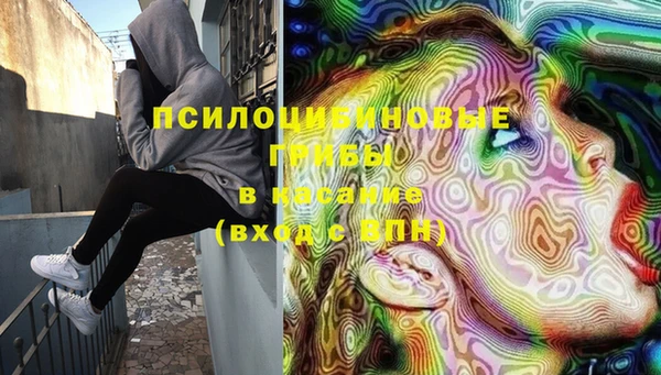 твердый Липки