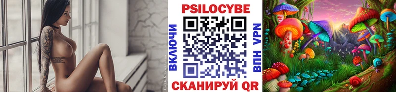 Галлюциногенные грибы Psilocybine cubensis  закладки  Киров 