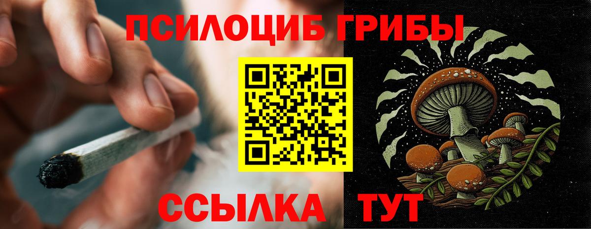 Псилоцибиновые грибы мицелий Киров